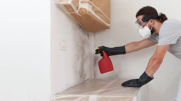 Professional Basement Mold Remediation technician working in Mount Tabor, NJ